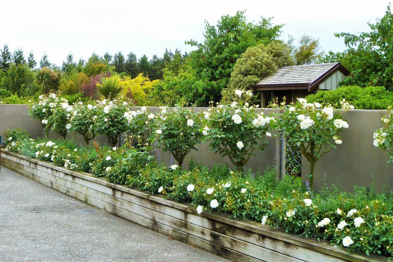 Belle Maison French Country Stay New Plymouth Ngoại thất bức ảnh